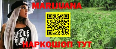 крисы Анапа