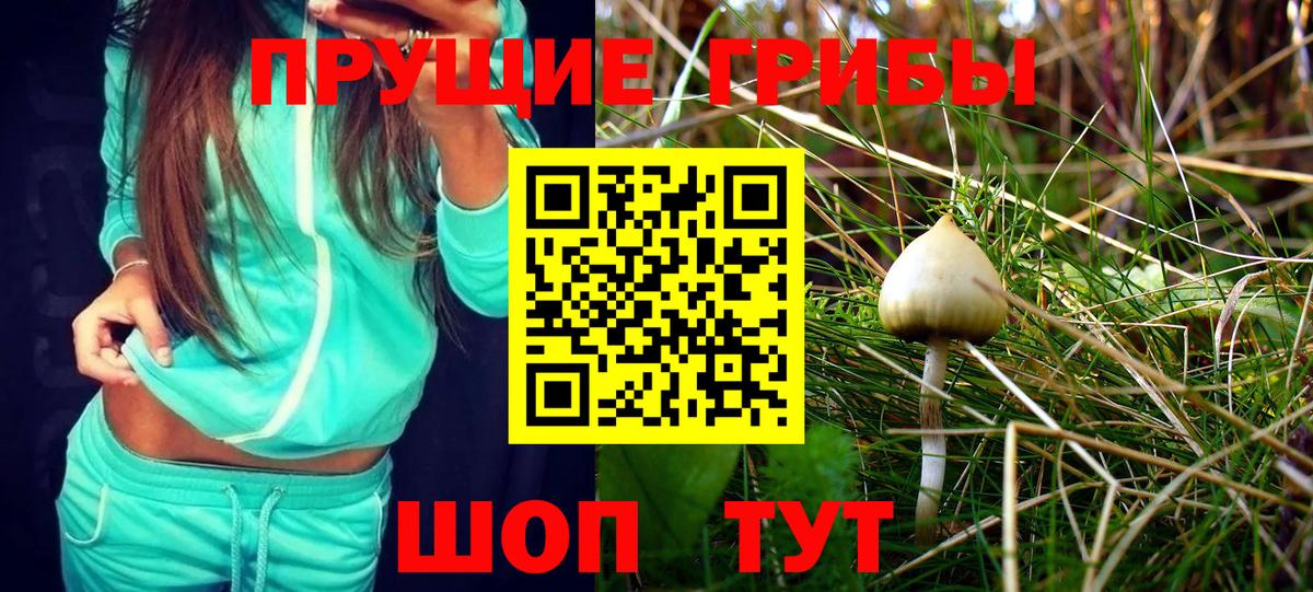 Псилоцибиновые грибы Psilocybine cubensis  закладка  Алексин  Вход с VPN 