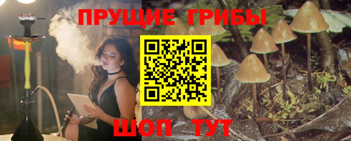 Галлюциногенные грибы мицелий Алексин